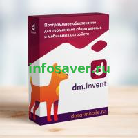 ПО DataMobile Invent