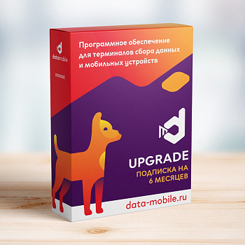 ПО DataMobile Online - подписка на 6 месяцев